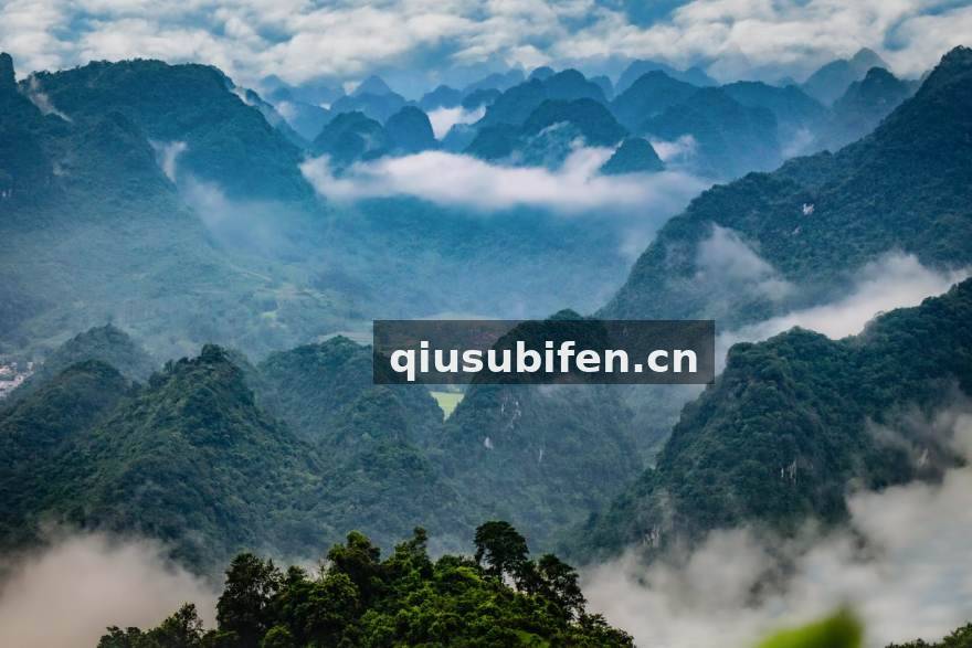 球速比分团队与数据运营场景